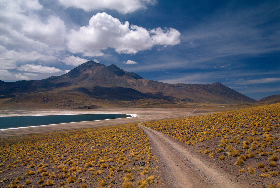 Laguna Miscanti in ca. 4.000m Höhe, Straße zum Sico Pass, südlich von San Pedro de Atacama, Anden, Chile