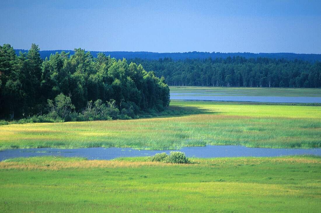 Store Mosse Nationalpark, Sumpfgeb., Blick v. Beobachtungst., See Kävsjön n/w Värnamo, Smaland, Schweden