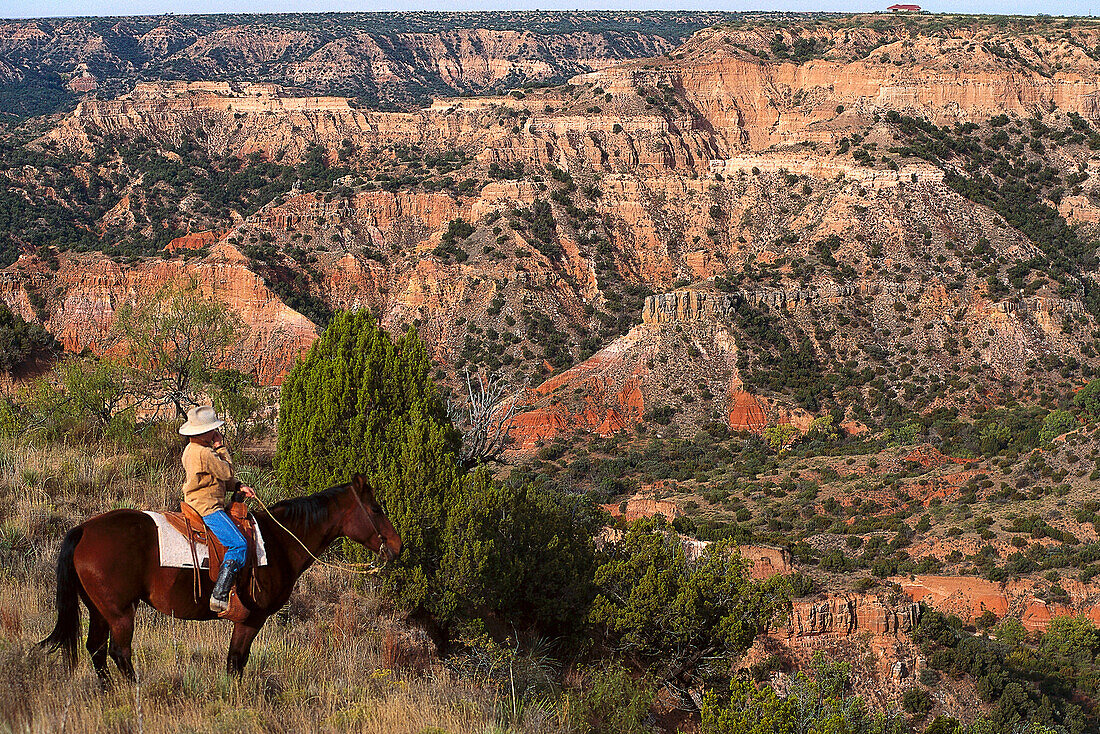 Cowboy auf einem Pferd schaut in den Palo Duran Canyon, Texas, USA, Amerika