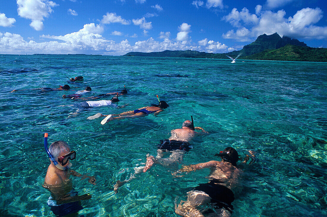 Touristen beim füttern der Haie, Lagune von Bora-Bora Französisch-Polynesien