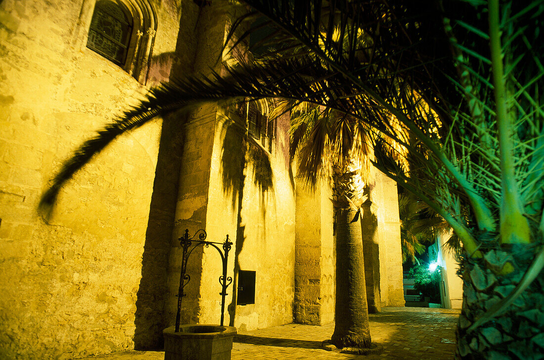 Kirchplatz mit Brunnen, Iglesia del Divino Salvador, Altstadt, Vejer de la Frontera, Costa de la Luz, Andalusien, Spanien