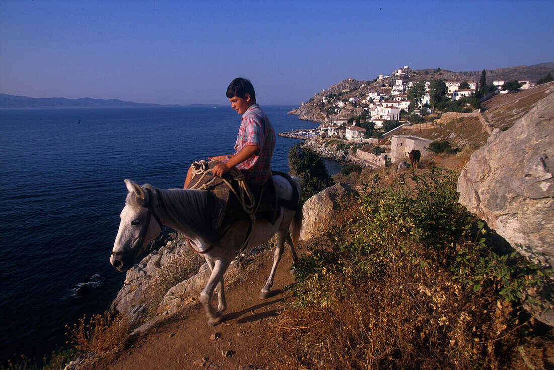 Esel und Pferd als Lastenträger, Pfad nach Kamini, westl. Hydra Saronische Inseln, Griechenland