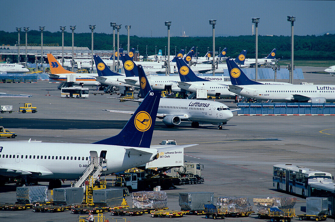 Lufthansa Flugzeuge, Flughafen Frankfurt a.M., Hessen
