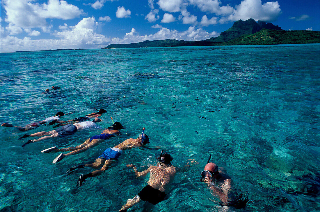 Touristen beim Haiefuettern, Lagune, Bora- Bora Franz. Polynesien