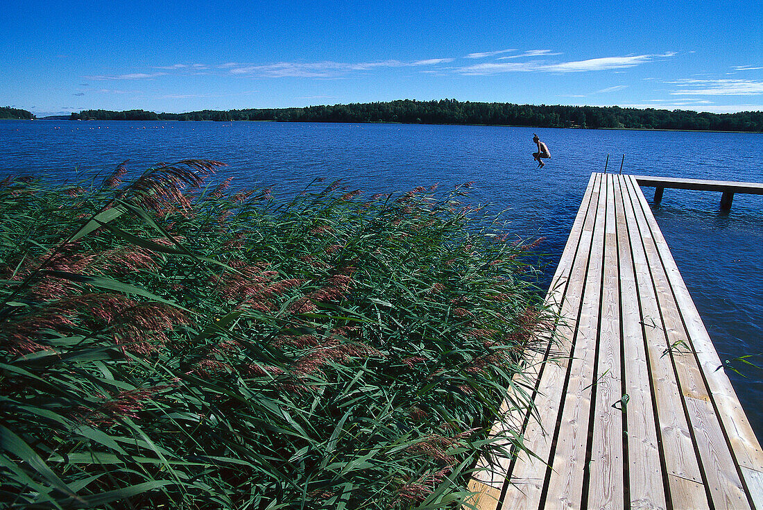 Person bathing at Lake Malar north of Strangnas, Sodermanland, Sweden