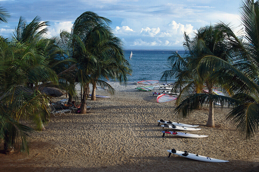 Surfbretter liegen an einem Palmenstrand im Sand, Isla Margarita, Venezuela