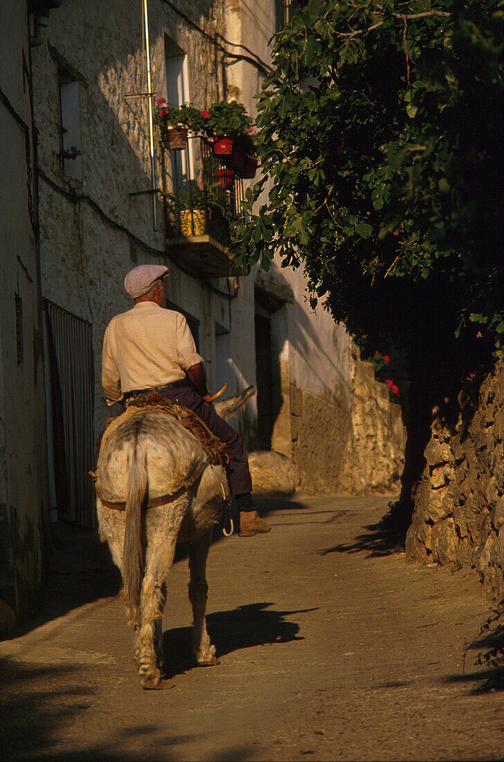 Mann auf Esel, Teneriffa, Kanaren, Spanien