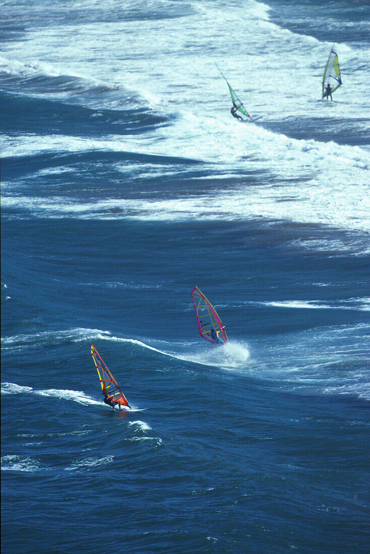 Windsurfen, Fuerteventura, Kanarische Inseln, Spanien Europa