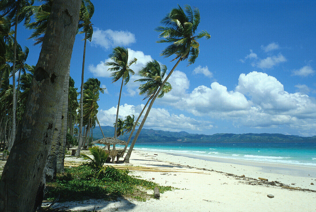 Borocay, Palmenstrand, Philippinen