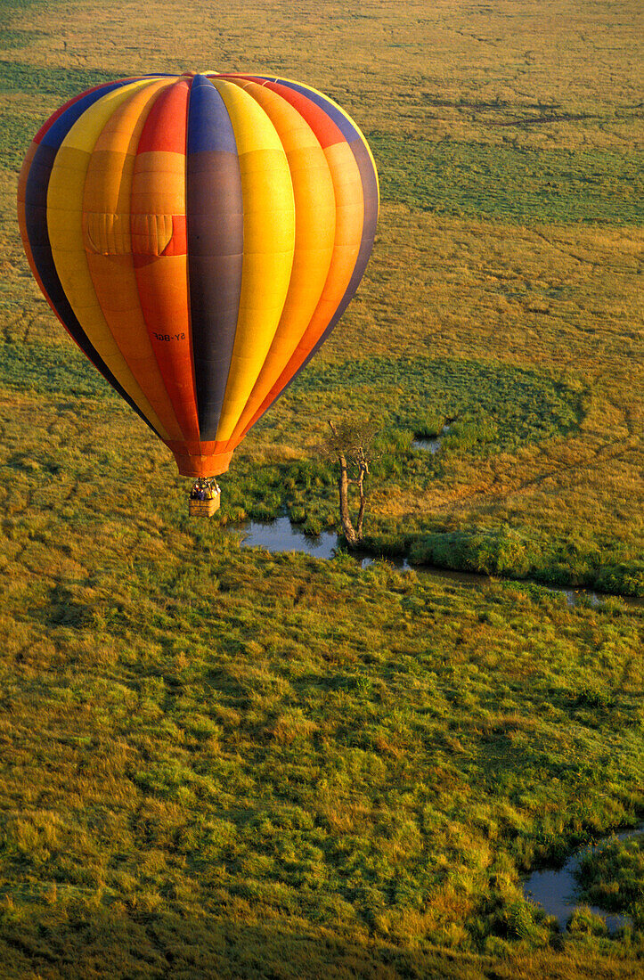 Heißluftballon, Masai Mara Nationalpark, Kenia, Afrika