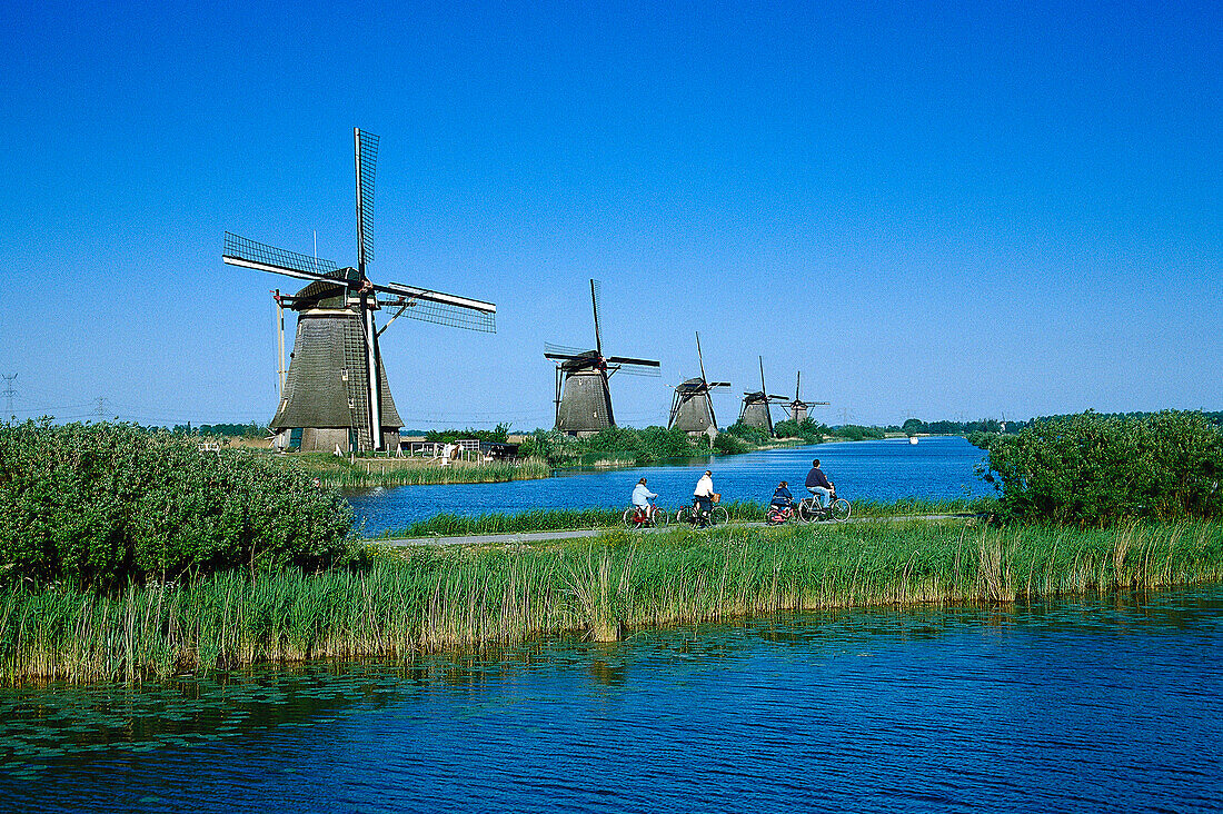 Windmühle in einer Reihe, Radfahrer, Kinderdijk, Niederlande