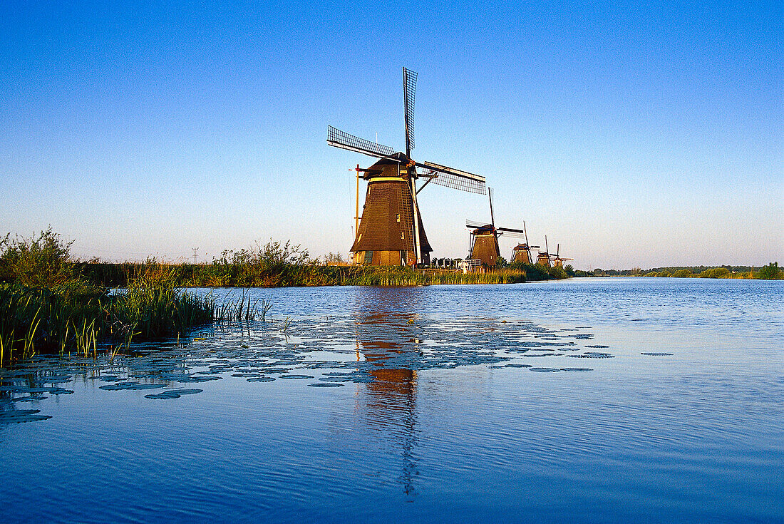 Windmühle in einer Reihe, Kinderdijk Niederlande
