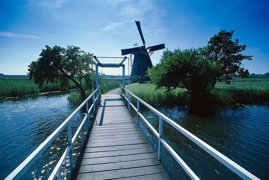 Windmill and landscape, Kinderdijk, Netherlands