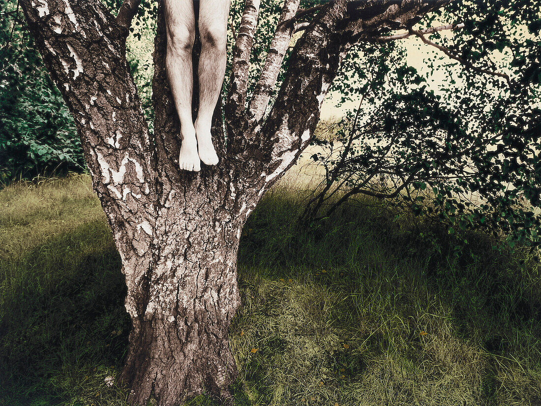 Surreale Interpretation von Henning Mankell, die fünfte Frau, Marvingsholm Skane, Schweden
