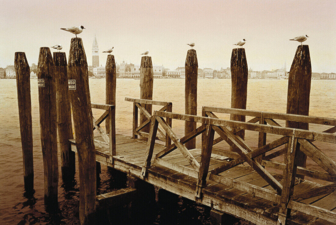 Donna Leon, Venezianisches Finale, Guidecca, Anlegestelle mit Blick auf San Marco, Venedig, Italien