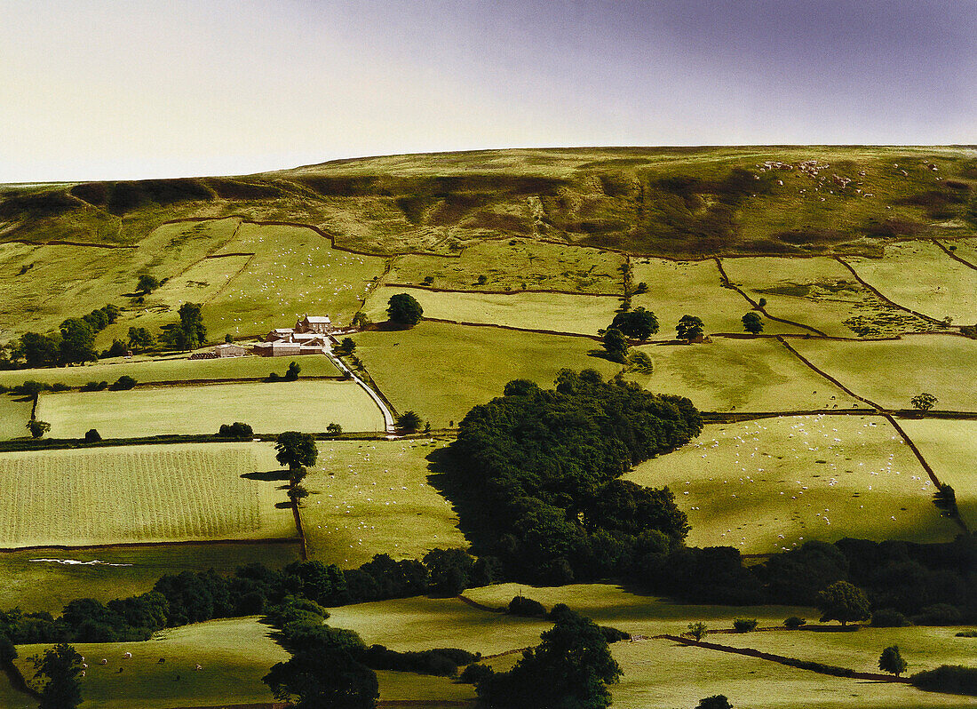 E. George, Gott schütze dieses Haus, Landschaft und Ackerland, Yorkshire Dales, Yorkshire, England, Great Britain