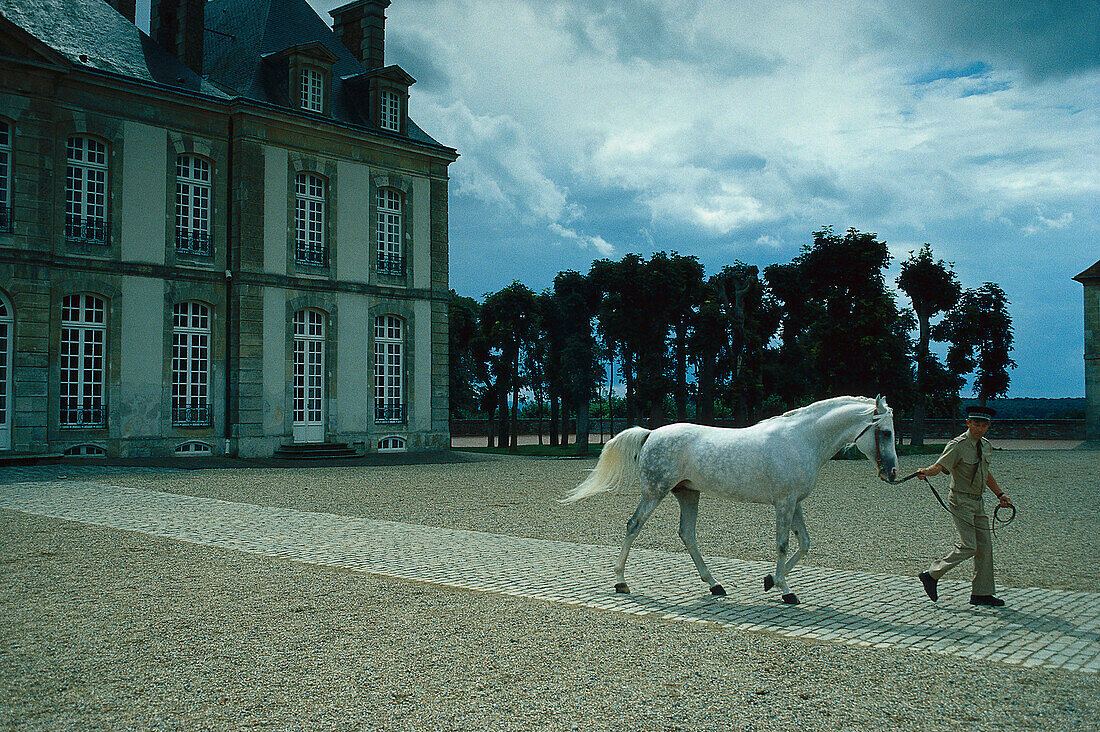 Man leads a horse at the bridle out of the stud farm of Haras du Pin, Normandy, France