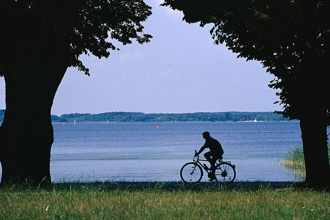 Man rides a bike at Lake Muritz, Mecklenburg Lake District, Mecklenburg-Western Pomerania, Germany