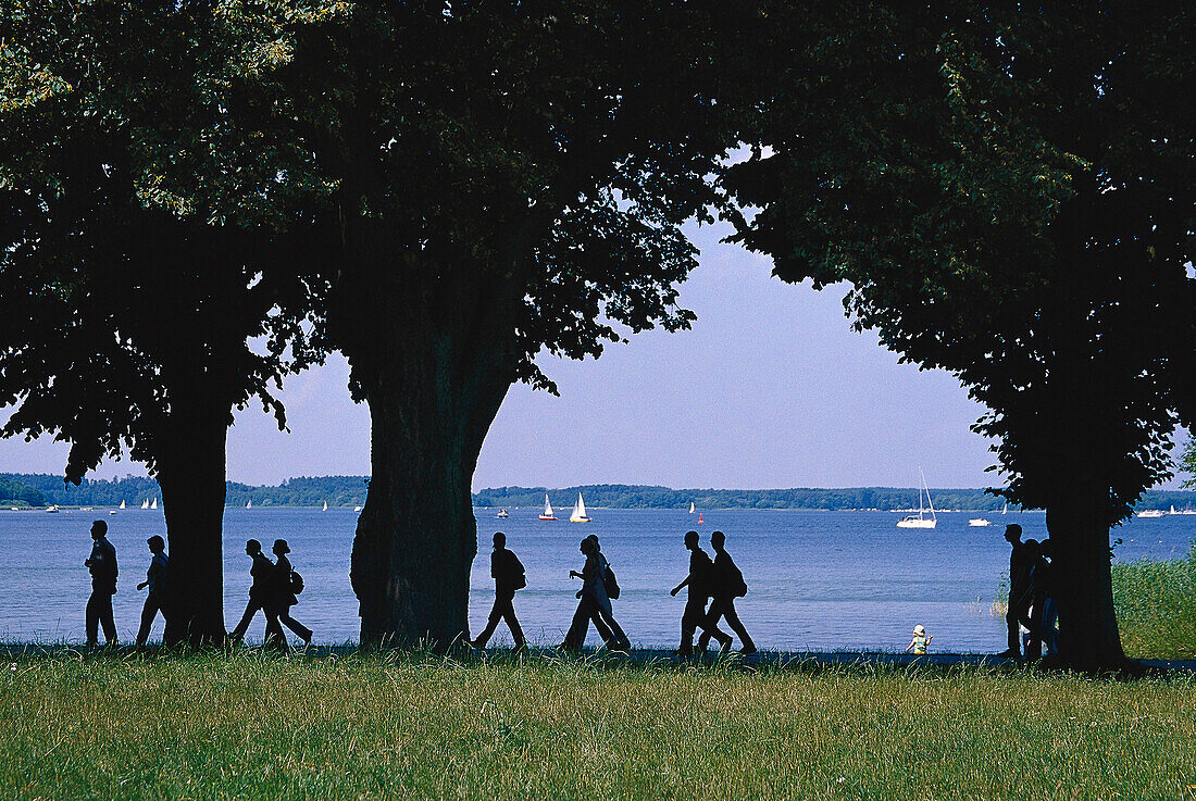 People walking around lake Muritz, Mecklenburg Lake District, Mecklenburg Western Pomerania, Germany