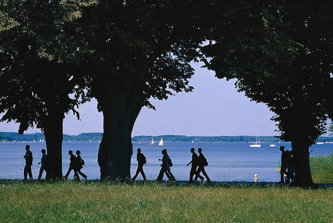 Spaziergänger an den Müritz-Binnensee, Mecklenburgische Seenplatte, Mecklenburg-Vorpommern, Deutschland