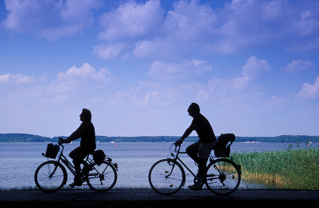 Radfahrer, Mueritz-Binnensee, Mecklenburgische Seenplatte Meck.-Vorpommern, Deutschland
