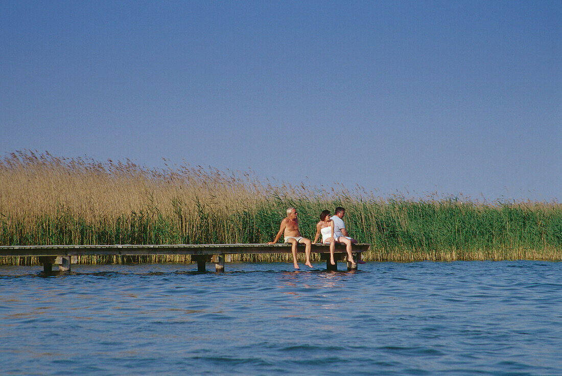 Tourists sitting on a boardwalk, Mueritz Lake, Mecklenburgian Lake District, Mecklenburg-Western Pomerania, Germany