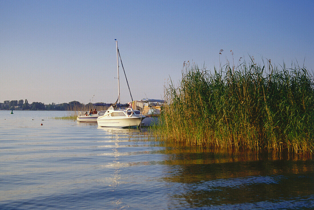 Boats in Lake Mueritz-Binnensee, Mecklenburgian Lake District, Mecklenburg-Western Pomerania, Germany