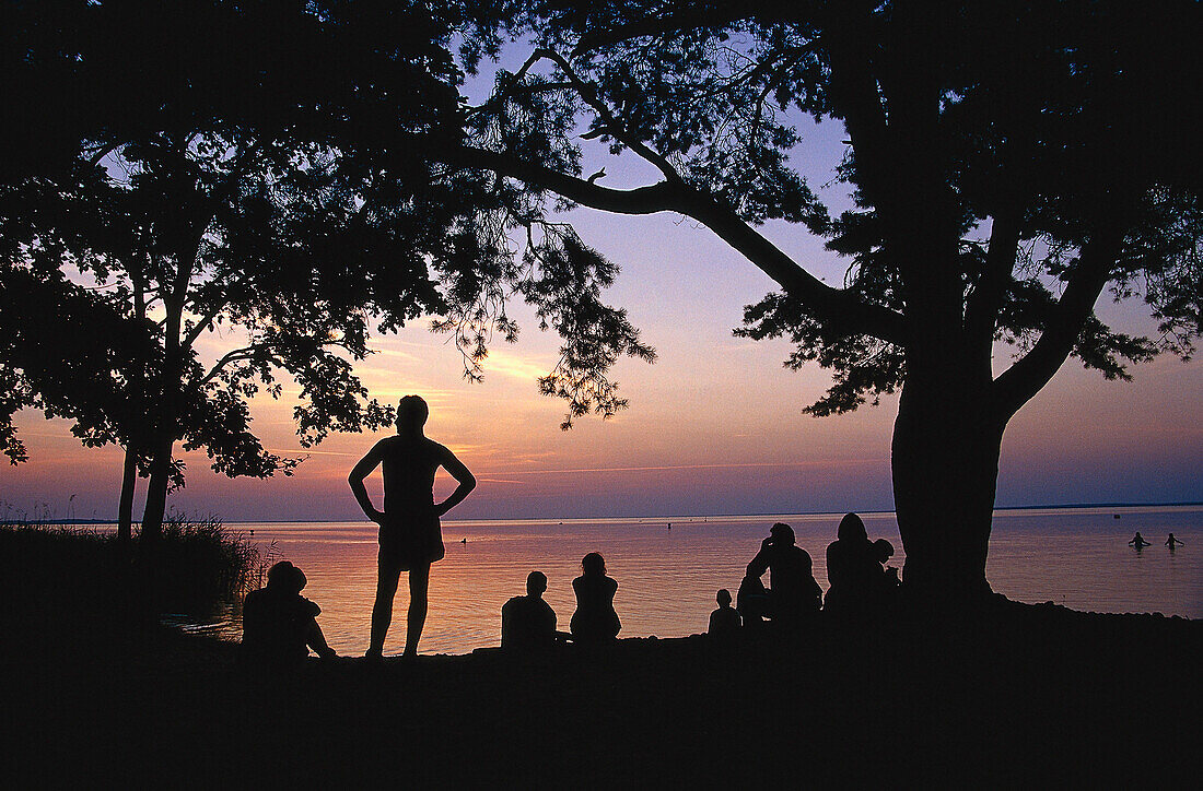 Abendstimmung, Müritz-Strand, Mecklenburgische Seenplatte Meck.- Vorpommern, Deutschland