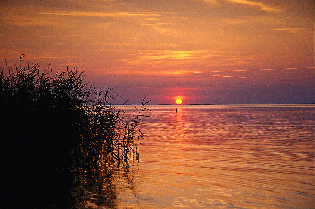 Sundown over Muritz Lake, Mecklenburg Lake District, Mecklenburg-Western Pomerania, Germany