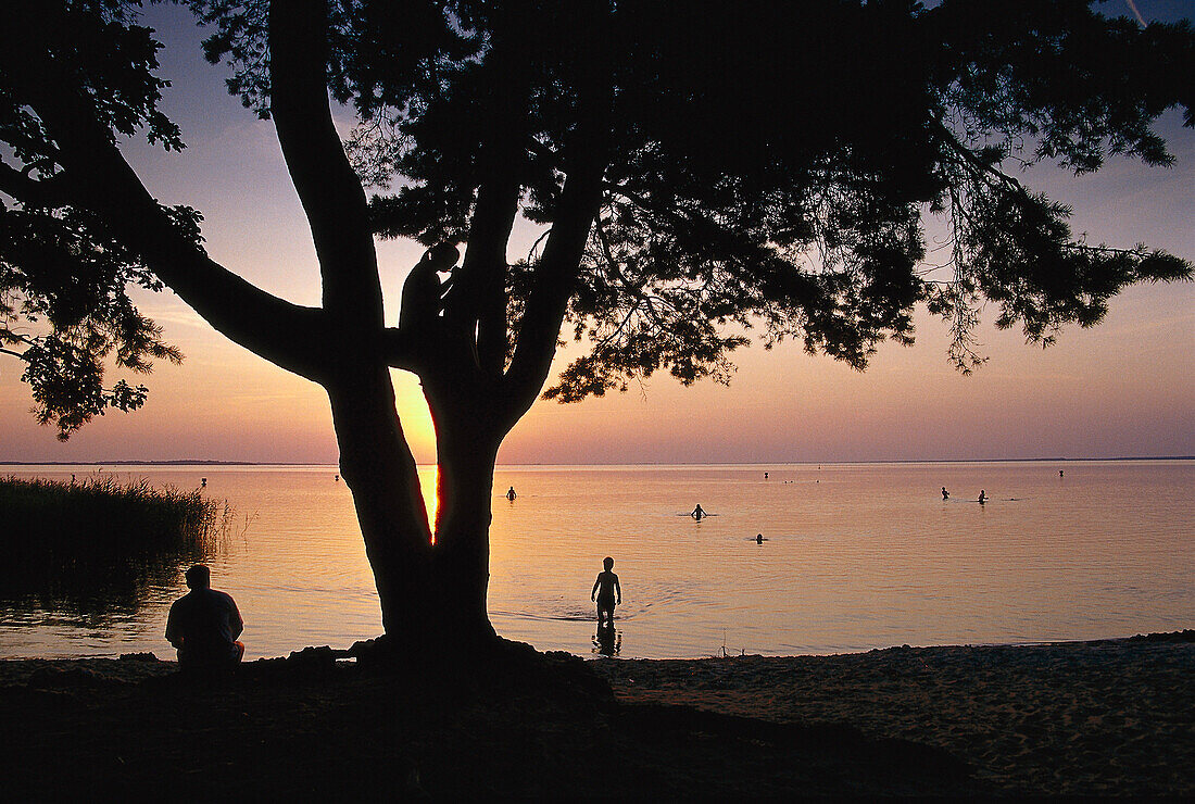 Abendstimmung, Mueritz-Strand, Mecklenburgische Seenplatte Meck.- Vorpommern, Deutschland