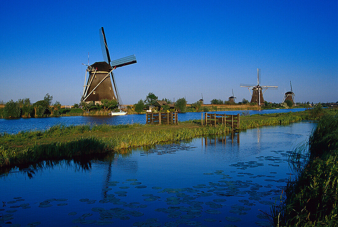 Windmühlen, Zaandijk, Freilichtmuseum Zaanse Schans Niederlande