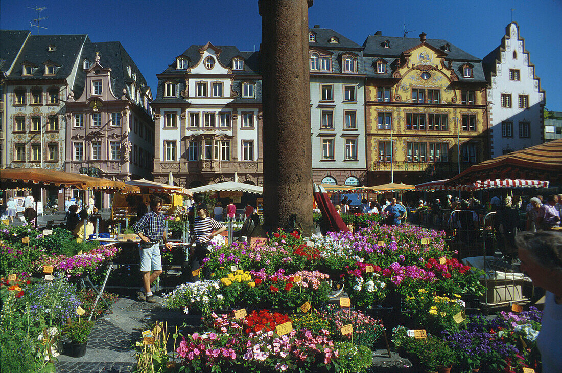 Mainz market with row of houses in the background, Rheinland-Pfalz, Germany