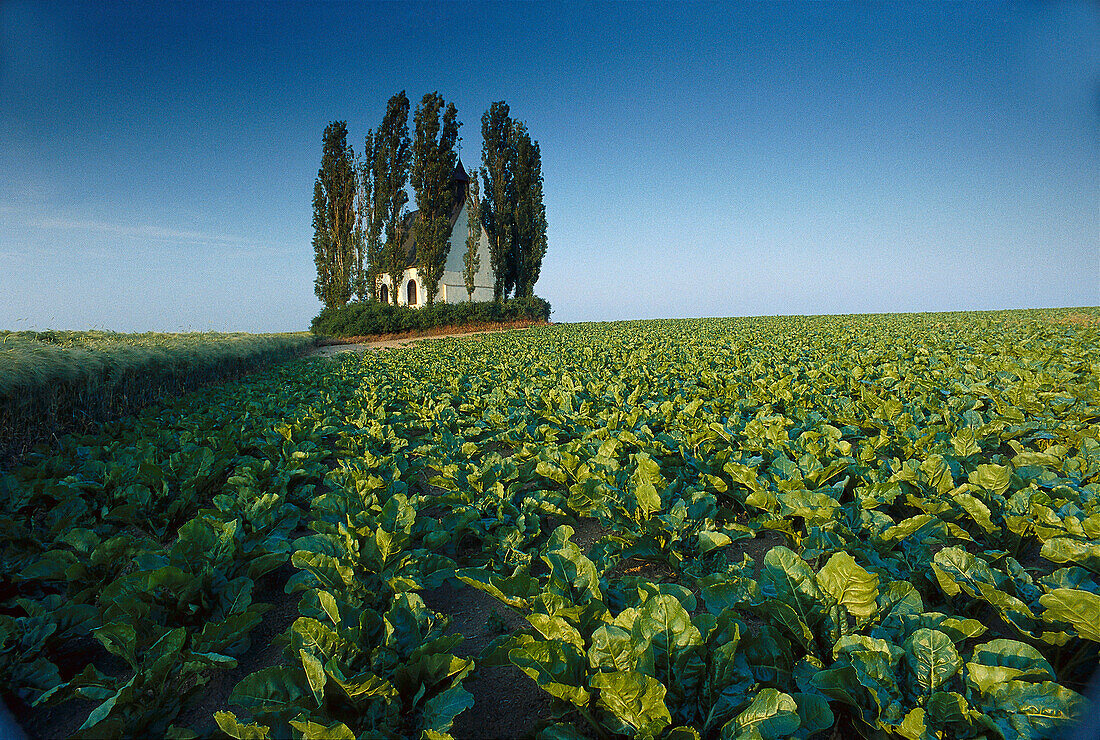St. Georges Chapel in a field near Polch, Maifeld, Eifel, Rhineland Palatinate, Germany