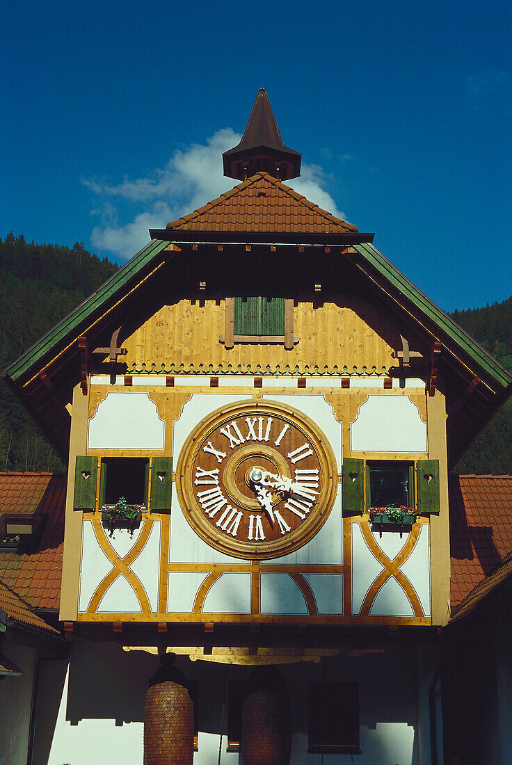 Close up of a cuckoo clock near Triberg, Black Forest, Baden-Wurttemberg, Germany