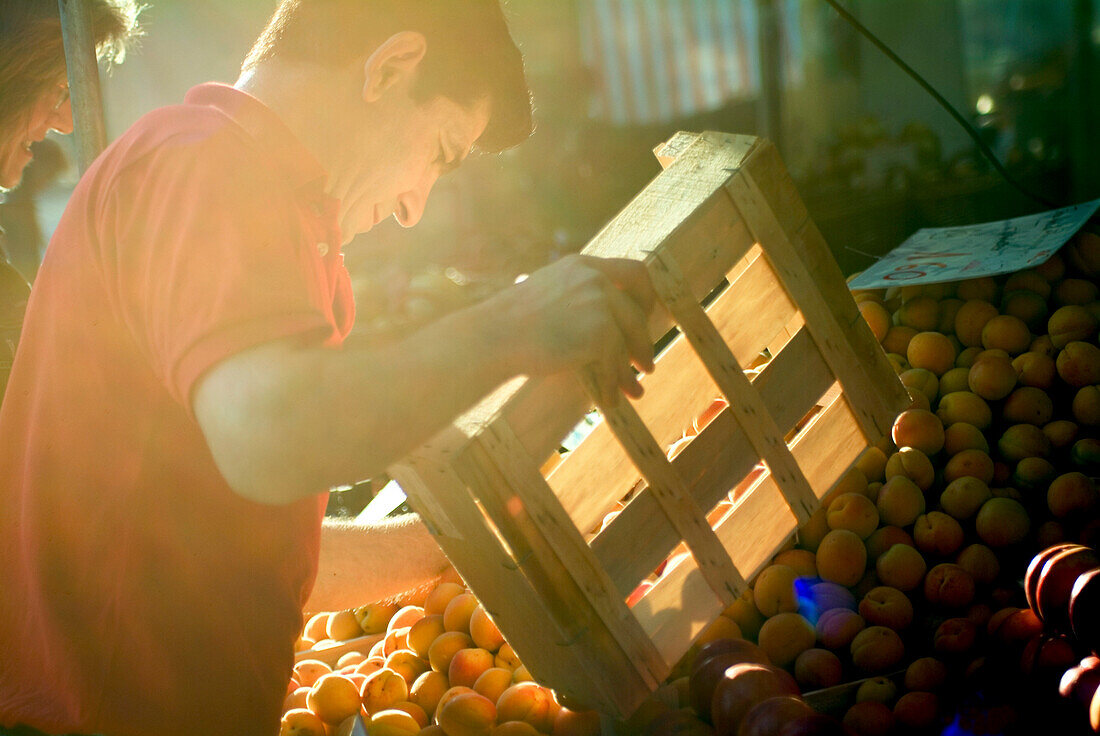 Vendor holding wooden box at a fruit stall, Viktualienmarkt, Munich, Bavaria, Germany