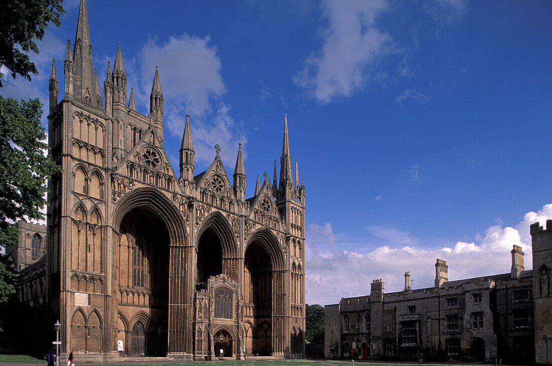 View at the cathedral of Peterborough, Cambridgeshire, England, Great Britain, Europe