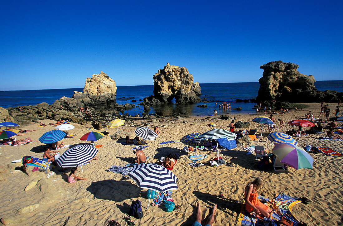 Strand mit Sonnenschirmen unter blauem Himmel, Praia Coelha, Albufeira, Algarve, Portugal, Europa