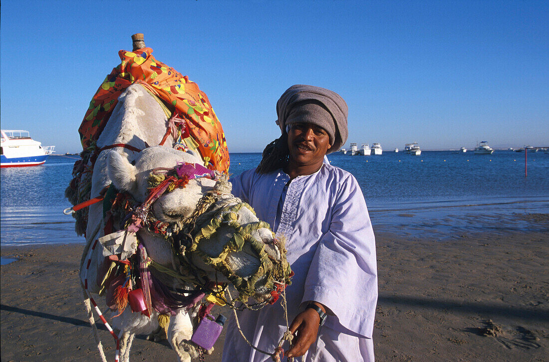Kamelreiten am Strand, Giftun Village, Hurghada Rotes Meer, Ägypten