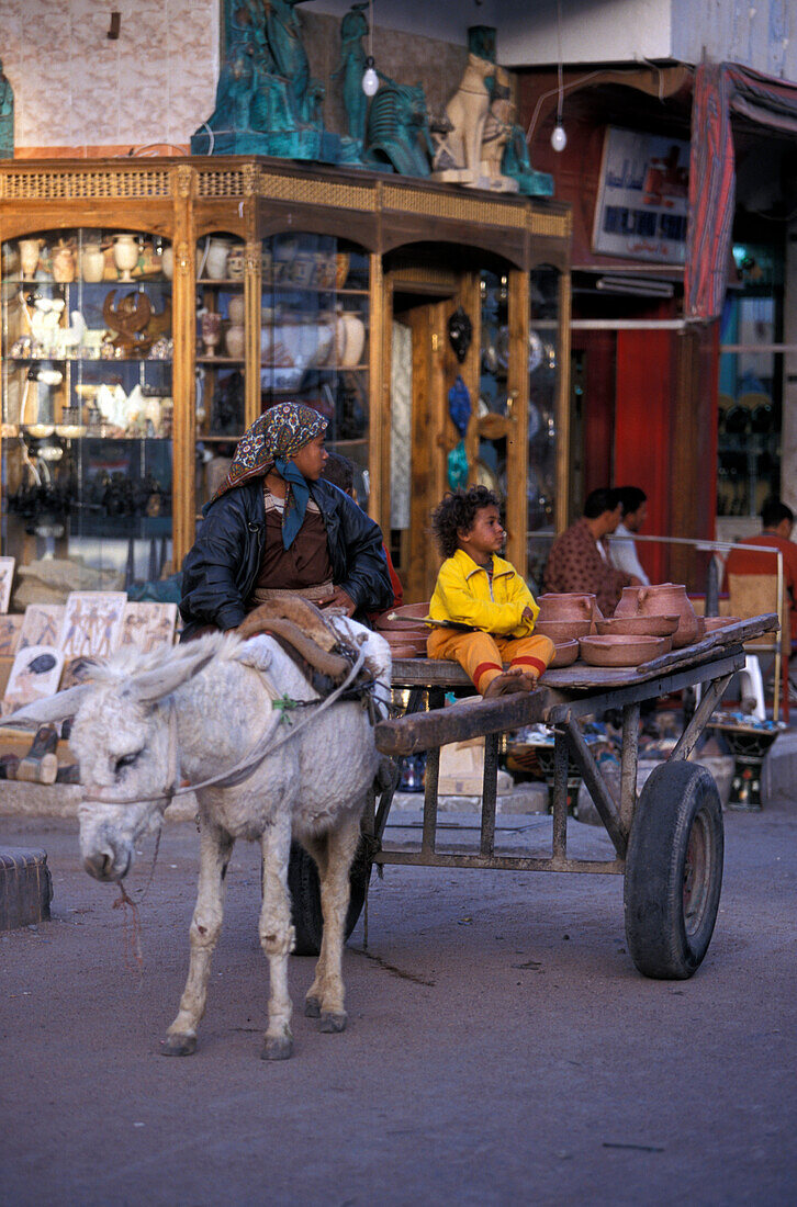 Donkey cart at a bazar downtown, Hurghada, Egypt, Africa