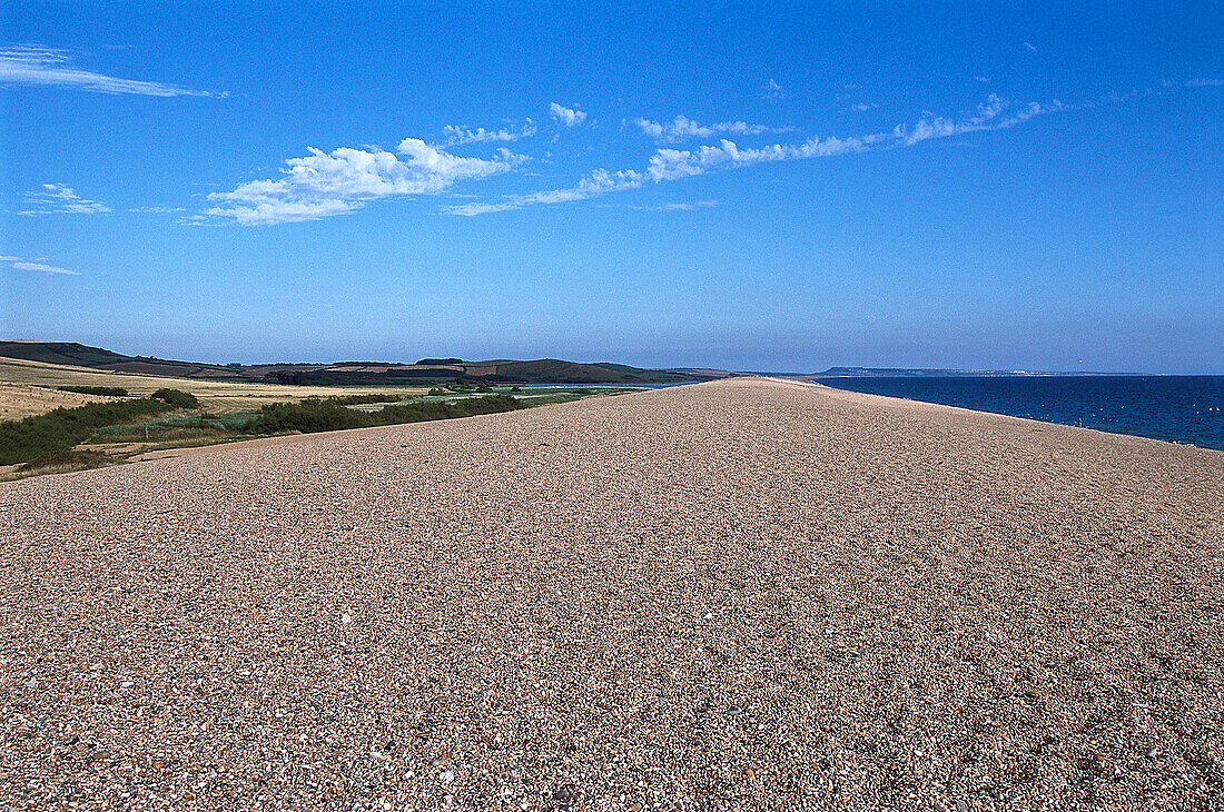 Chesil Beach, Near Abbotsbury, Dorset, England