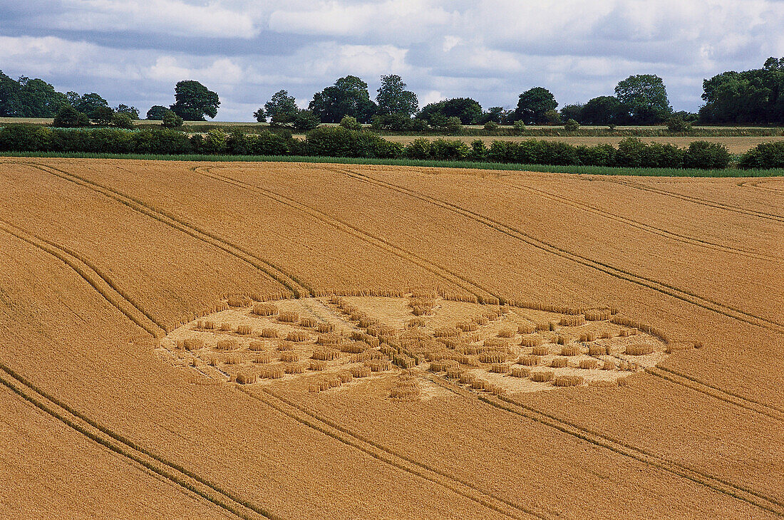 Getreidekreis in einem Kornfeld, Crop Circle, in der Nähe von Alton Barnes, Wiltshire, England, Großbritannien