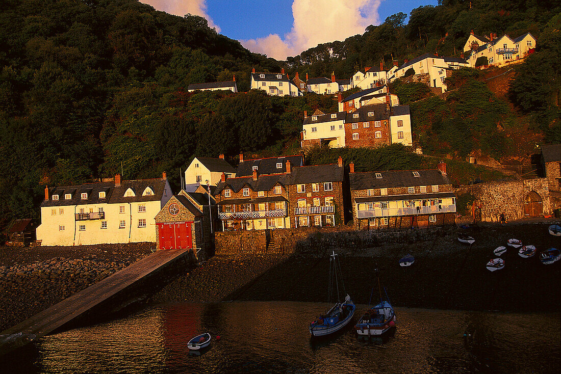 Morning Light, Clovelly, Devon England