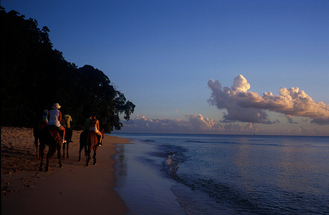 Reiten, Sandy Lane Beach, Sandy Lane, St. James Barbados