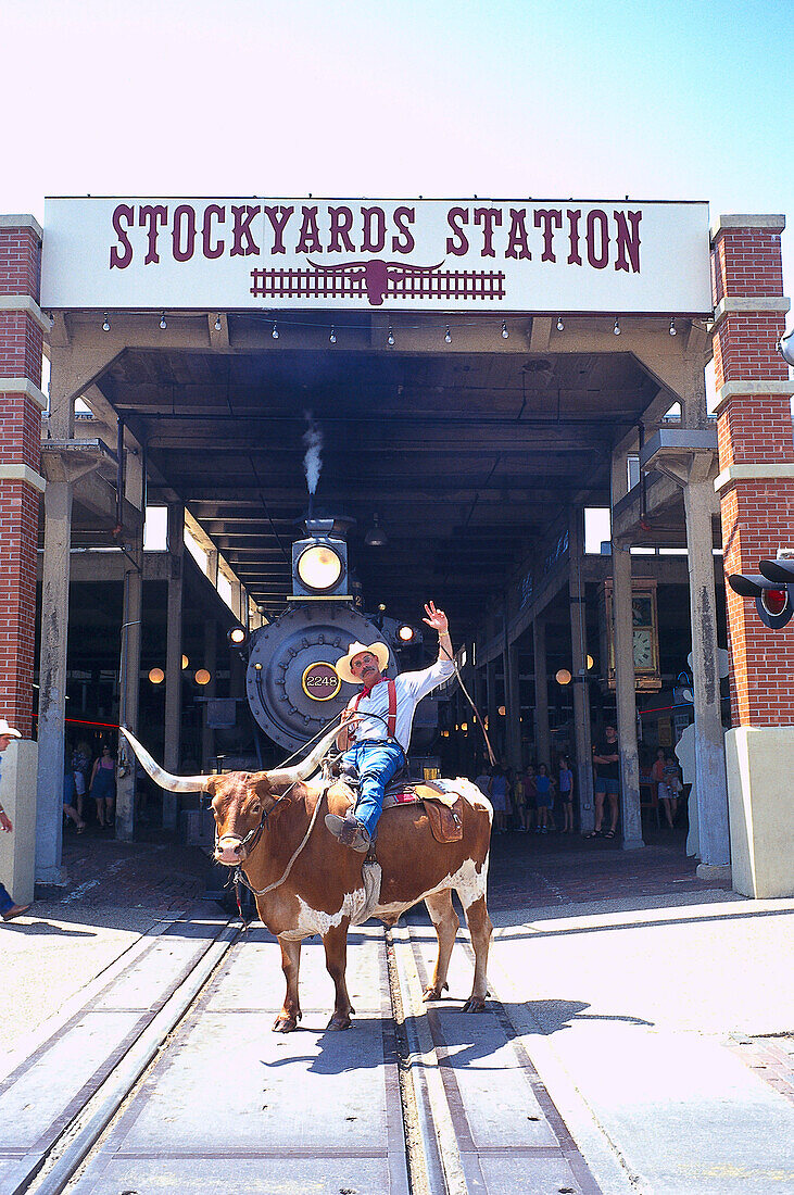 Longhorn at Stockyards Station, Fort Worth, Texas USA