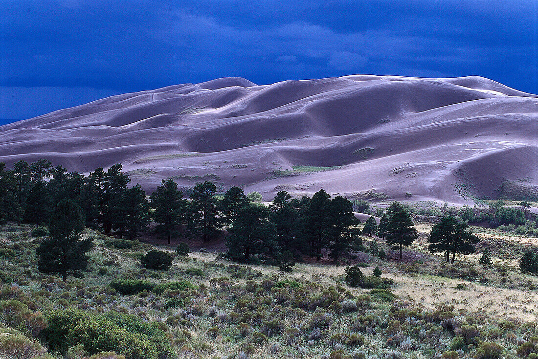 Great Sand Dunes Nat' 1 Monument, near Alamosa , Colorado USA