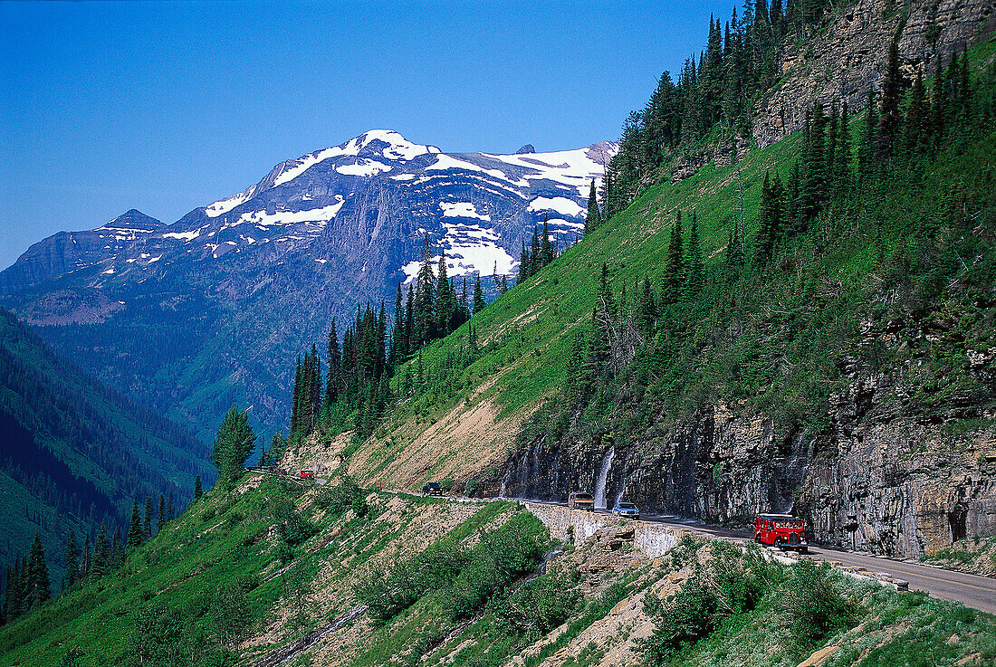 Weeping Wall, Going to the Sun Road, Glacier NP, Montana, USA