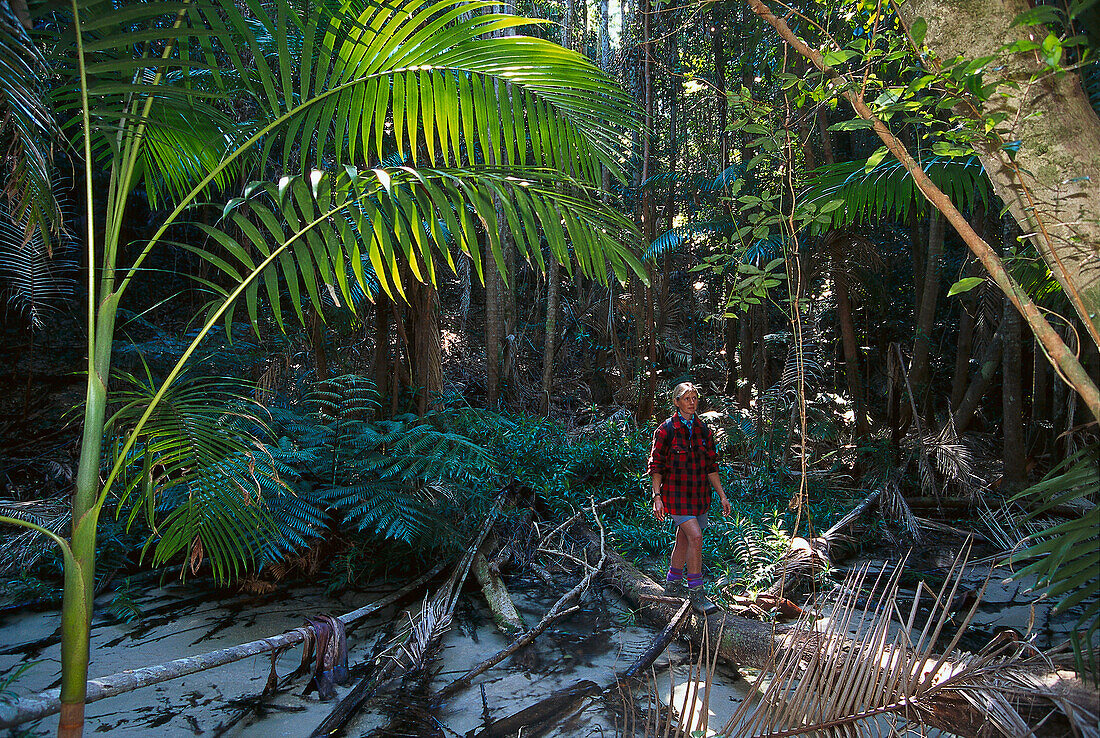 Trekking, Wanggoolba Creek, Fraser Island Queensland, Australia