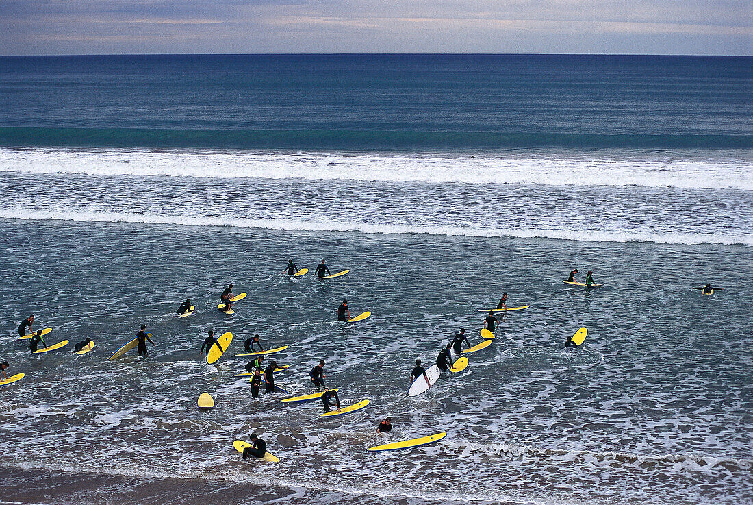 Surf Training Course, Gr. Ocean Rd., Anglesea, Victoria Australia