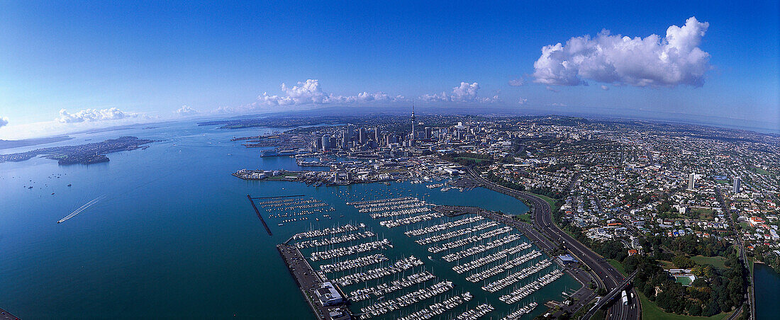 Luftaufnahme von Westhaven Marina und Skyline, Auckland, Nordinsel, Neuseeland