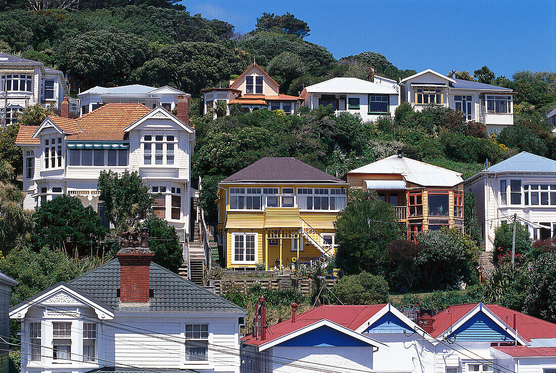 Victorian Houses, Oriental Bay, Wellington, North Island New Zealand